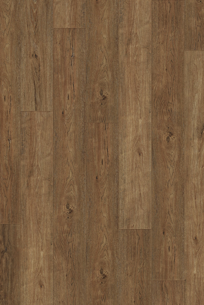 Comfort in Base Camp Hickory Luxury Vinyl by Canopy Floors 