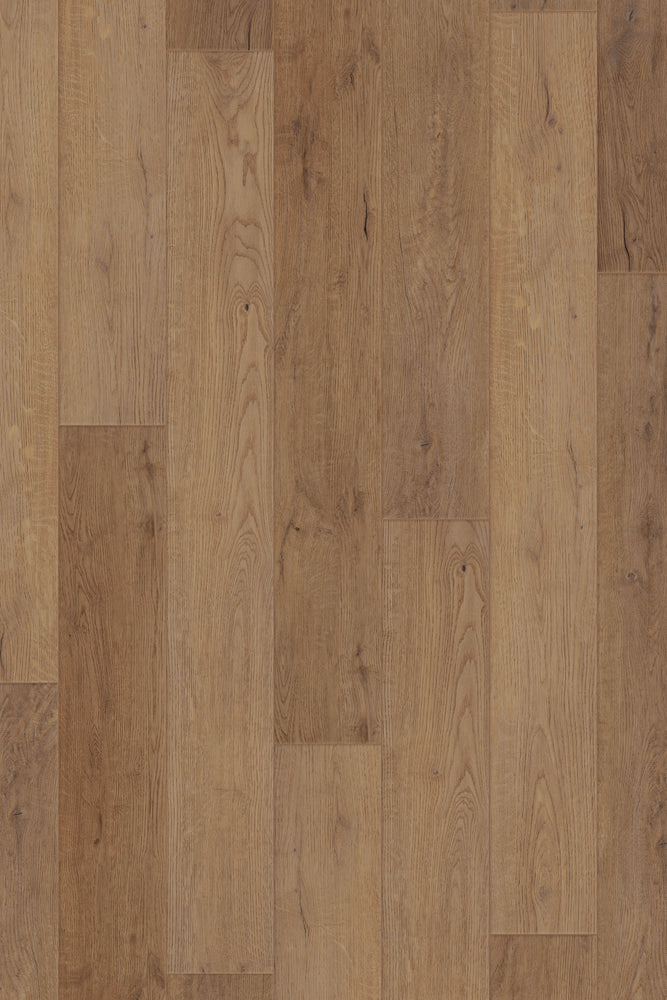 Comfort in Reverie Oak Luxury Vinyl by Canopy Floors 